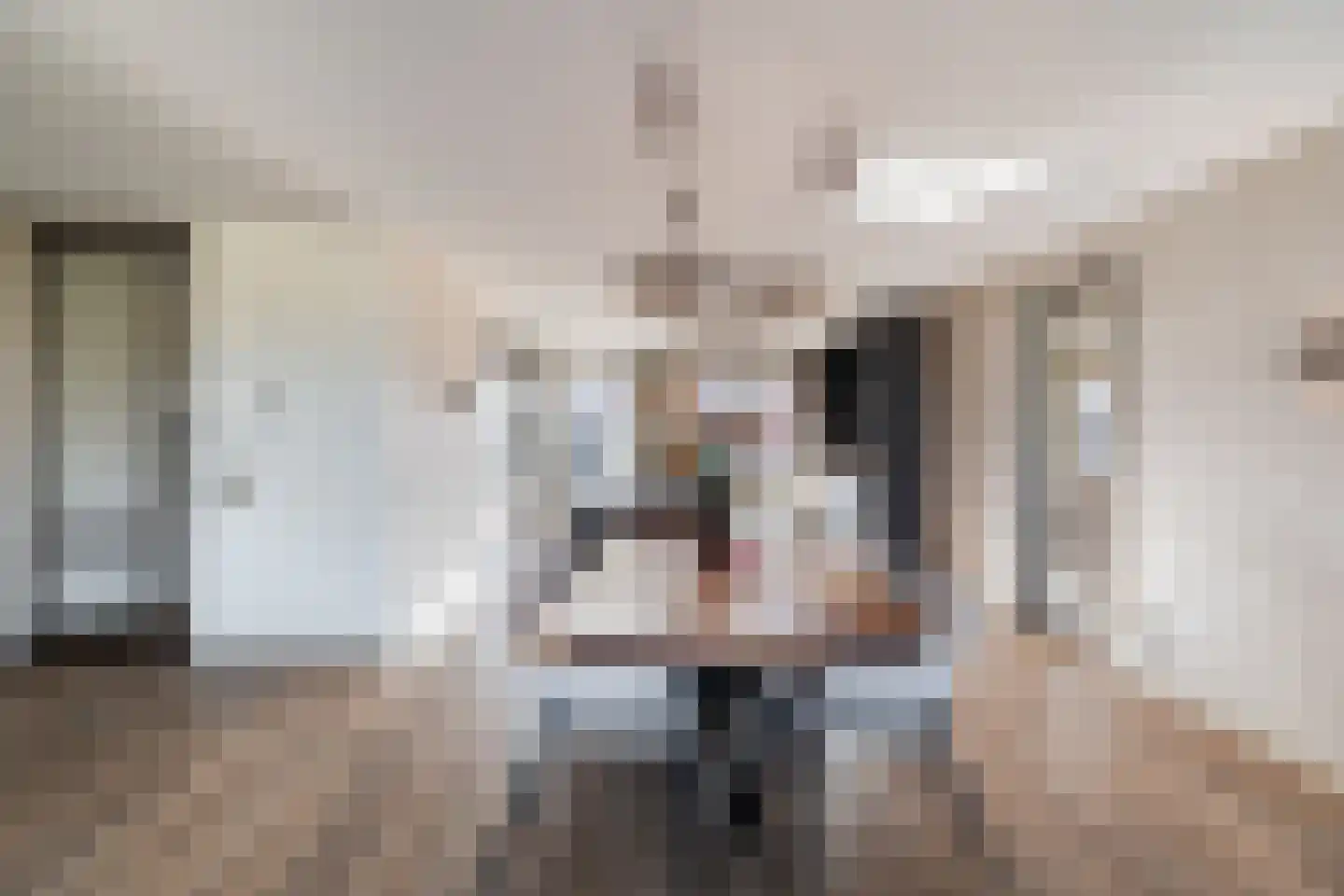 Simon v Slingerlandtstraat 4 D Naaldwijk thumbnail 18