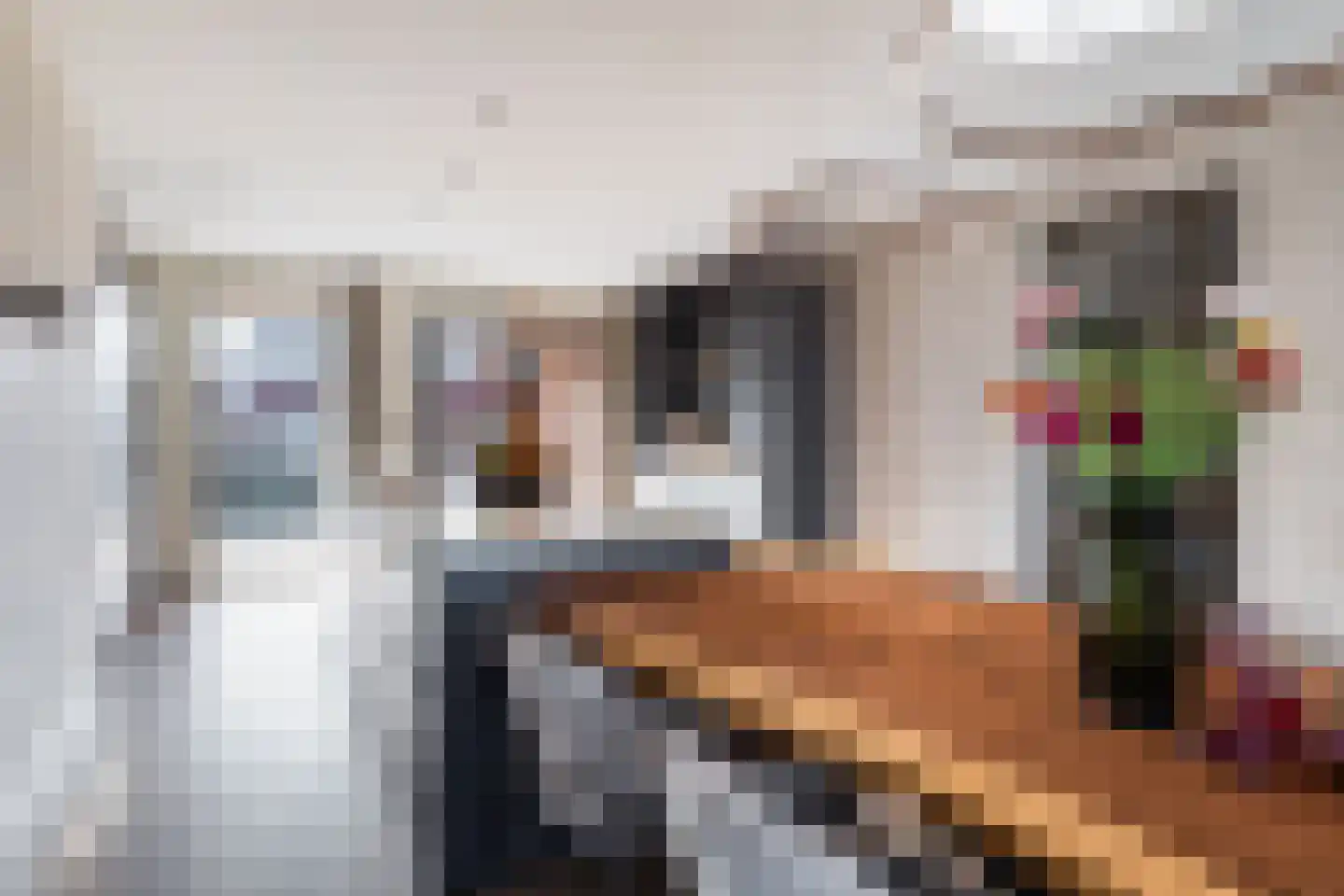 Simon v Slingerlandtstraat 4 D Naaldwijk thumbnail 20