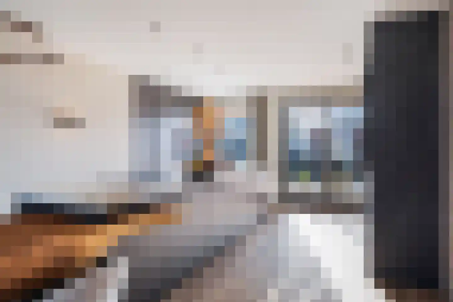 Simon v Slingerlandtstraat 4 D Naaldwijk thumbnail 21