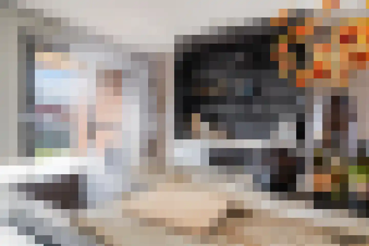 Simon v Slingerlandtstraat 4 D Naaldwijk thumbnail 24