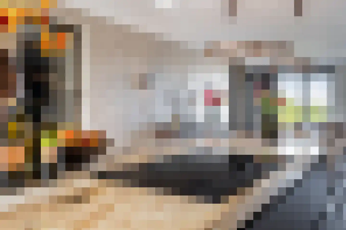 Simon v Slingerlandtstraat 4 D Naaldwijk thumbnail 25