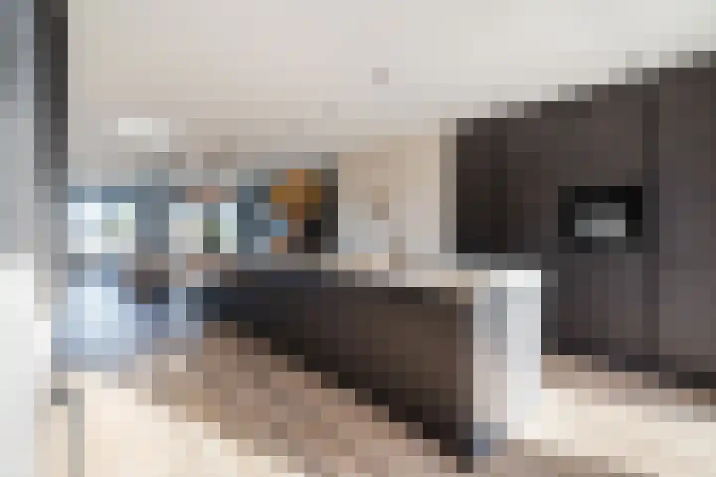 Simon v Slingerlandtstraat 4 D Naaldwijk thumbnail 26