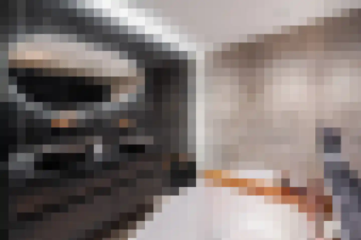 Simon v Slingerlandtstraat 4 D Naaldwijk thumbnail 33