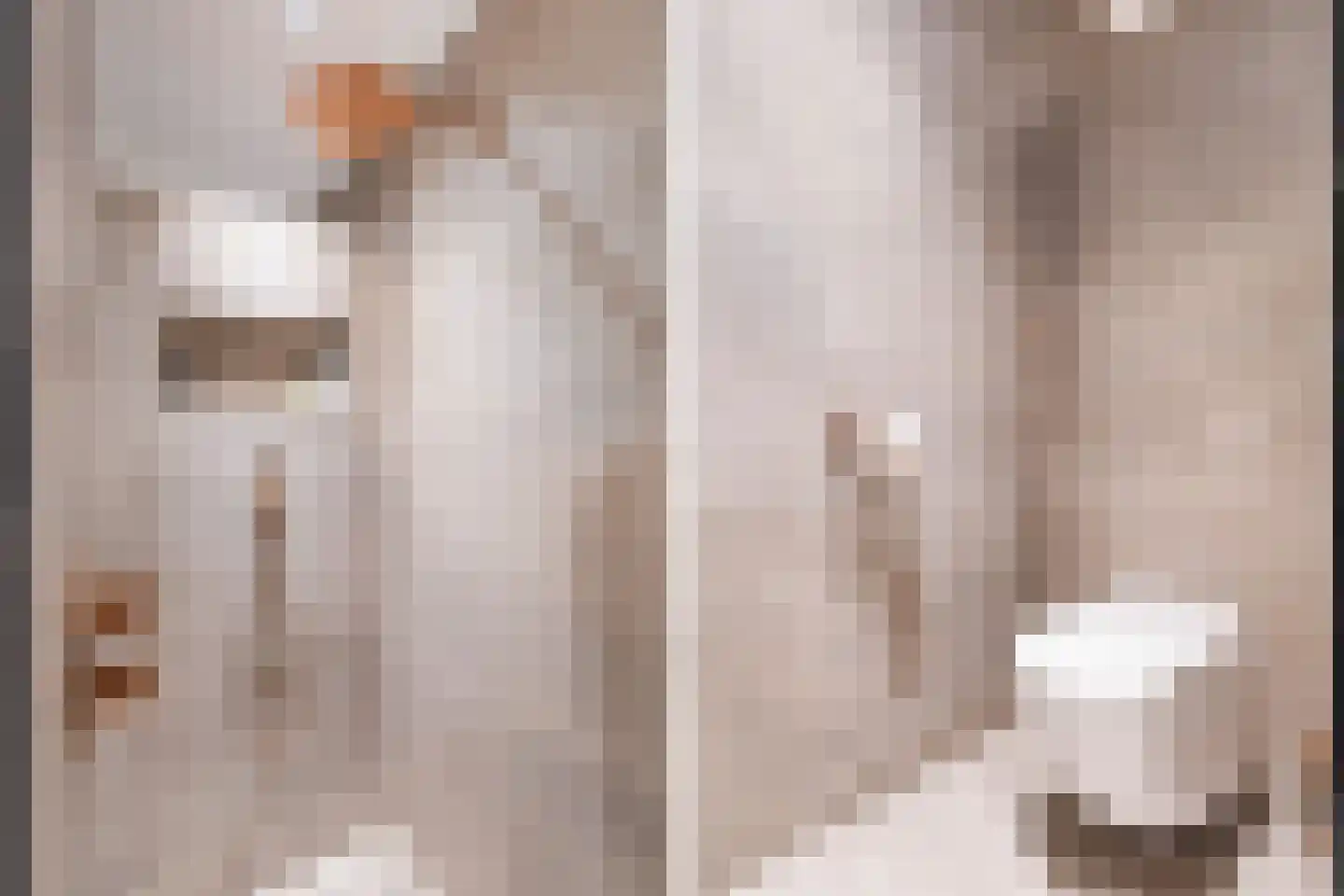 Simon v Slingerlandtstraat 4 D Naaldwijk thumbnail 35