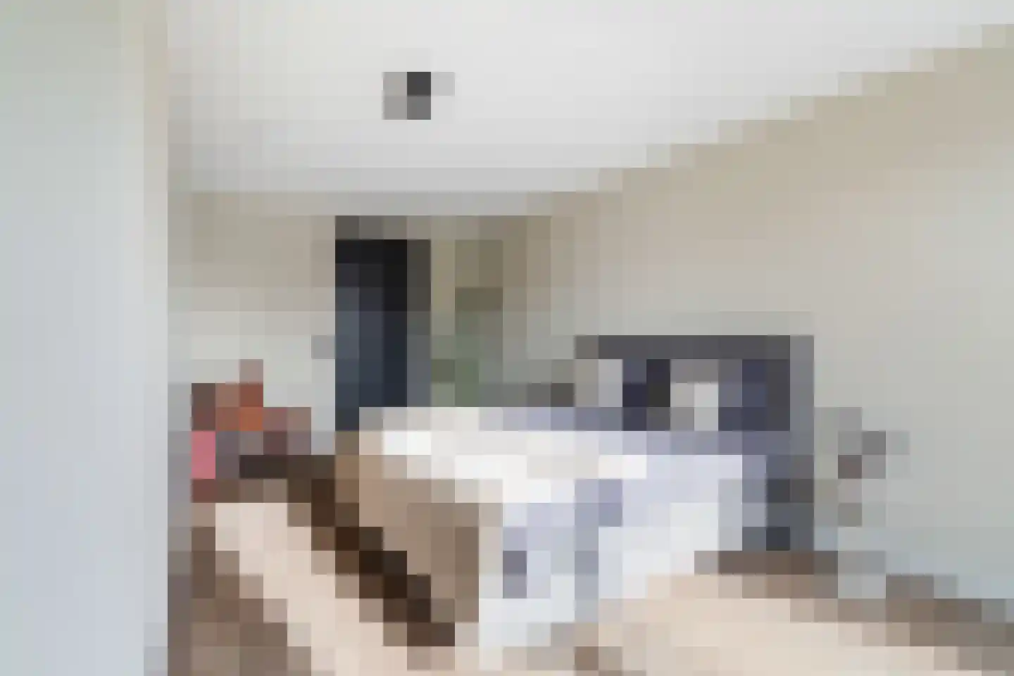 Simon v Slingerlandtstraat 4 D Naaldwijk thumbnail 37