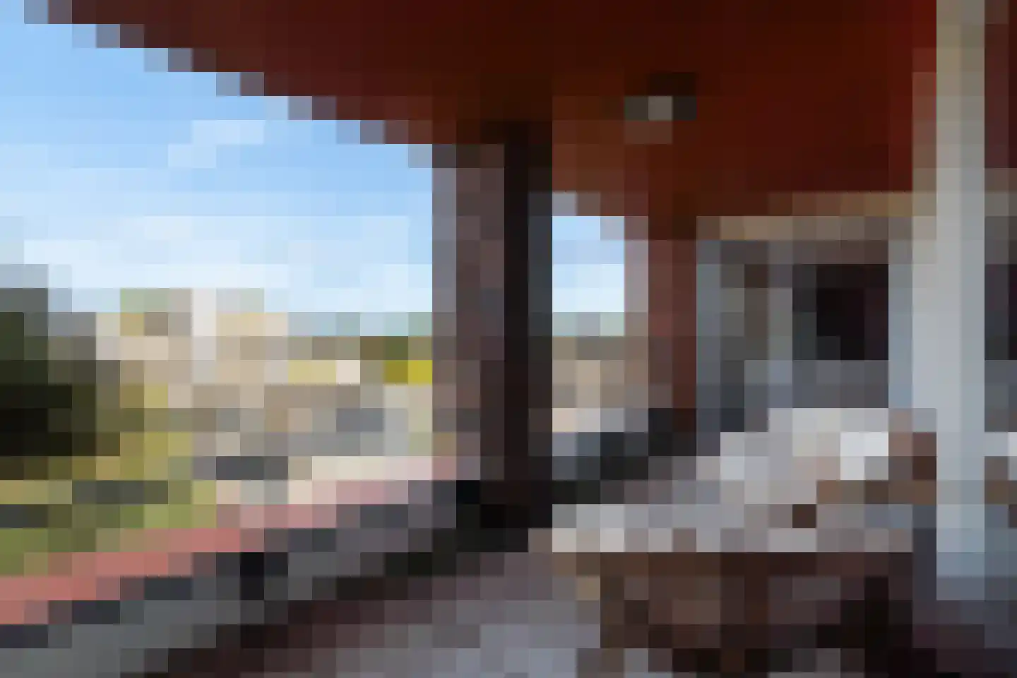 Simon v Slingerlandtstraat 4 D Naaldwijk thumbnail 4