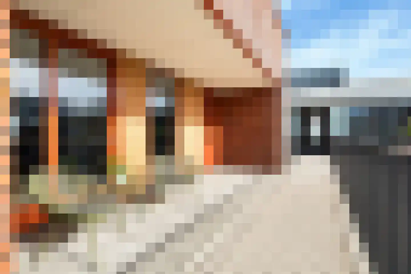 Simon v Slingerlandtstraat 4 D Naaldwijk thumbnail 43