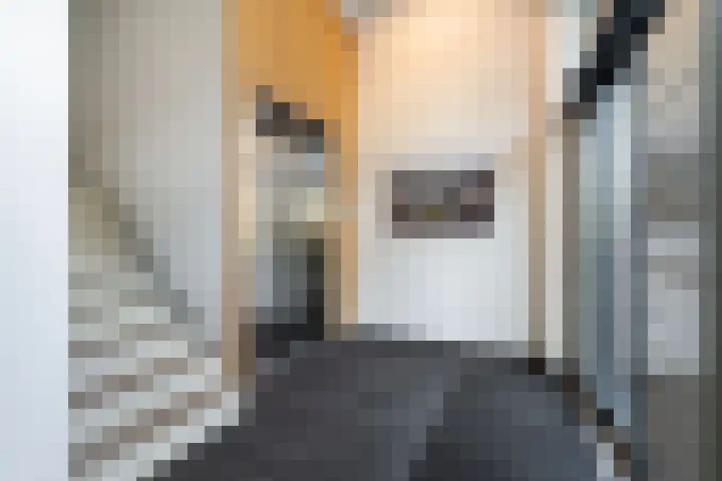 Simon v Slingerlandtstraat 4 D Naaldwijk thumbnail 48