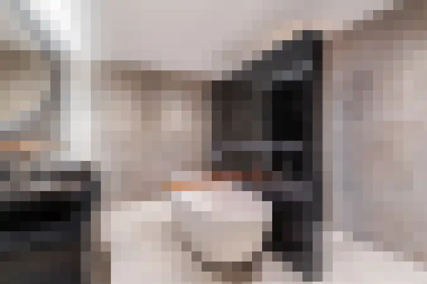 Simon v Slingerlandtstraat 4 D Naaldwijk thumbnail 5