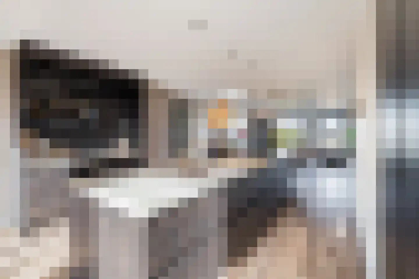 Simon v Slingerlandtstraat 4 D Naaldwijk thumbnail 8