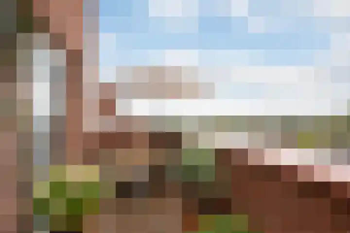 Simon v Slingerlandtstraat 6 A Naaldwijk thumbnail 10