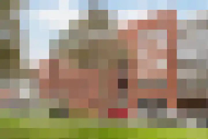 Simon v Slingerlandtstraat 6 A Naaldwijk thumbnail 36