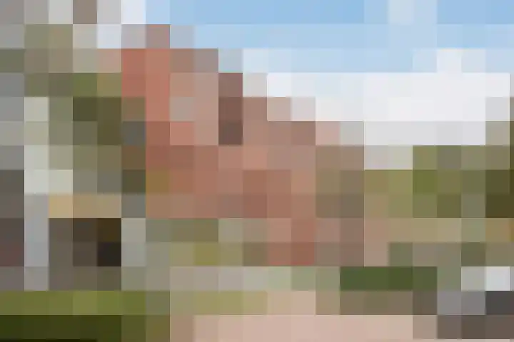 Simon v Slingerlandtstraat 6 A Naaldwijk thumbnail 37