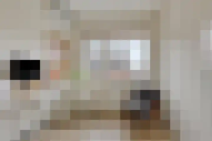 Simon van Arkelstraat 11 Naaldwijk thumbnail 22