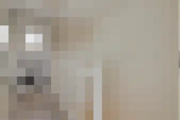 Simon van Arkelstraat 11 Naaldwijk thumbnail 24