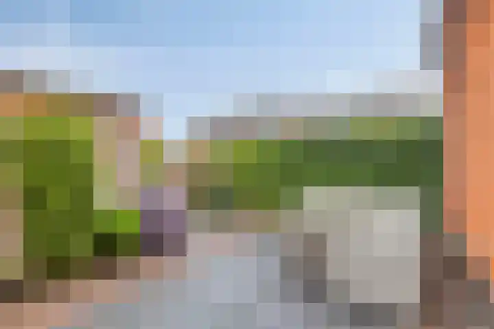 Simon van Arkelstraat 11 Naaldwijk thumbnail 29