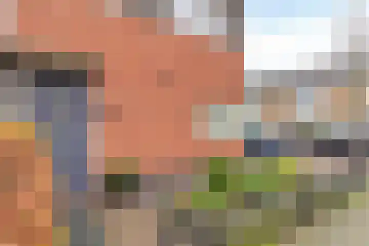 Simon van Arkelstraat 11 Naaldwijk thumbnail 34
