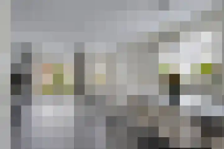 Simon van Arkelstraat 11 Naaldwijk thumbnail 5
