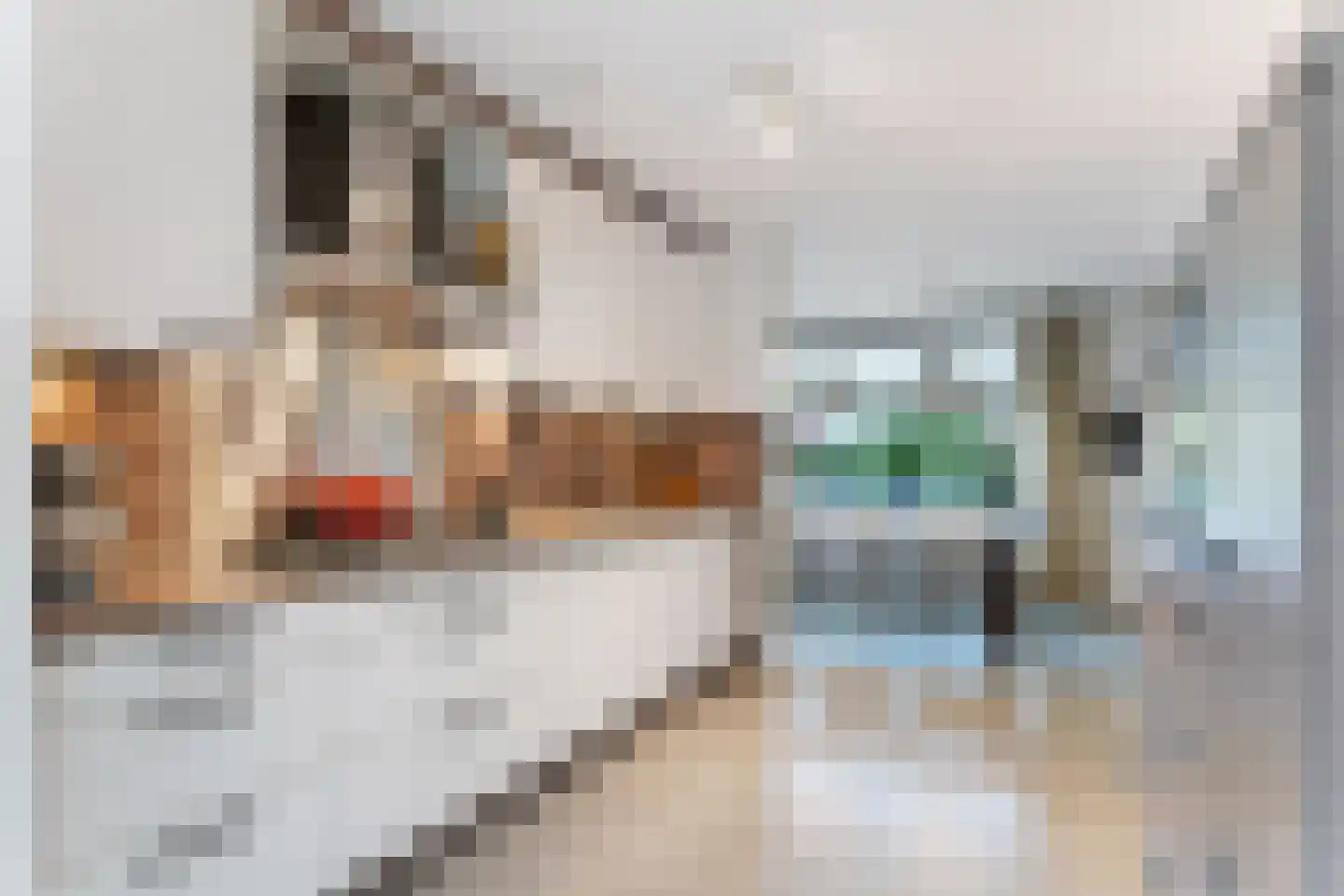 Simon van Beaumontstraat 10 Middelburg thumbnail 10