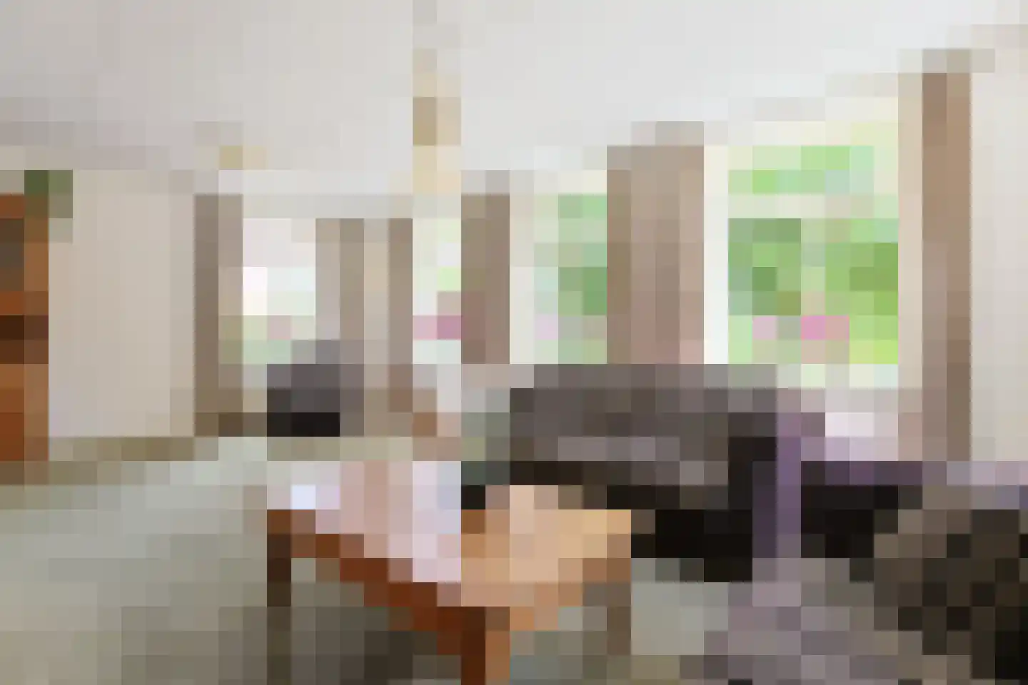 Simon van Capelweg 113 Noorden thumbnail 17