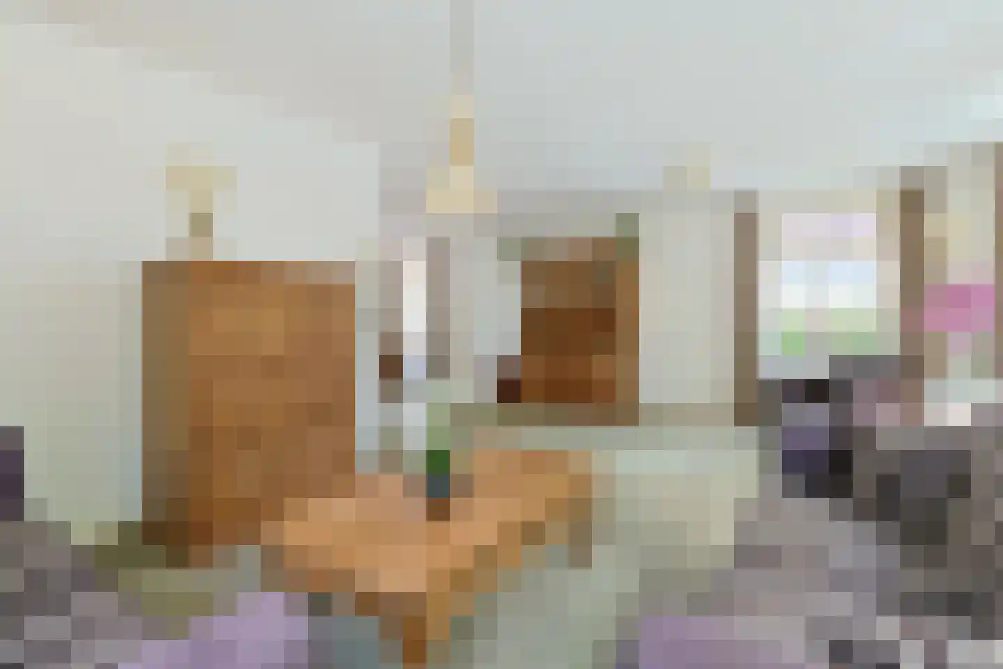 Simon van Capelweg 113 Noorden thumbnail 18