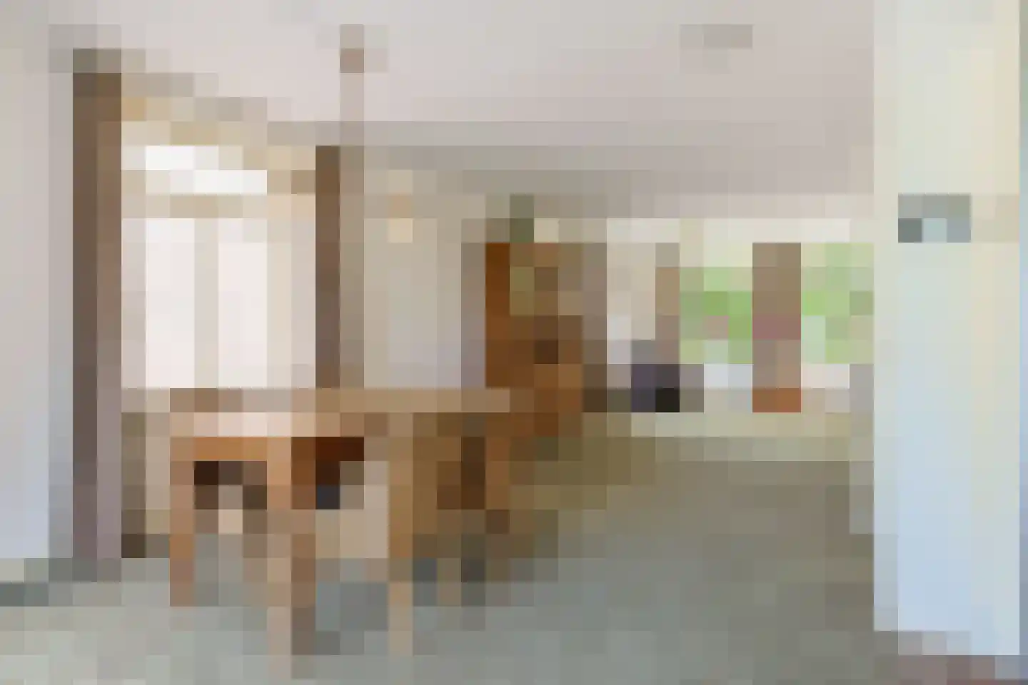 Simon van Capelweg 113 Noorden thumbnail 21