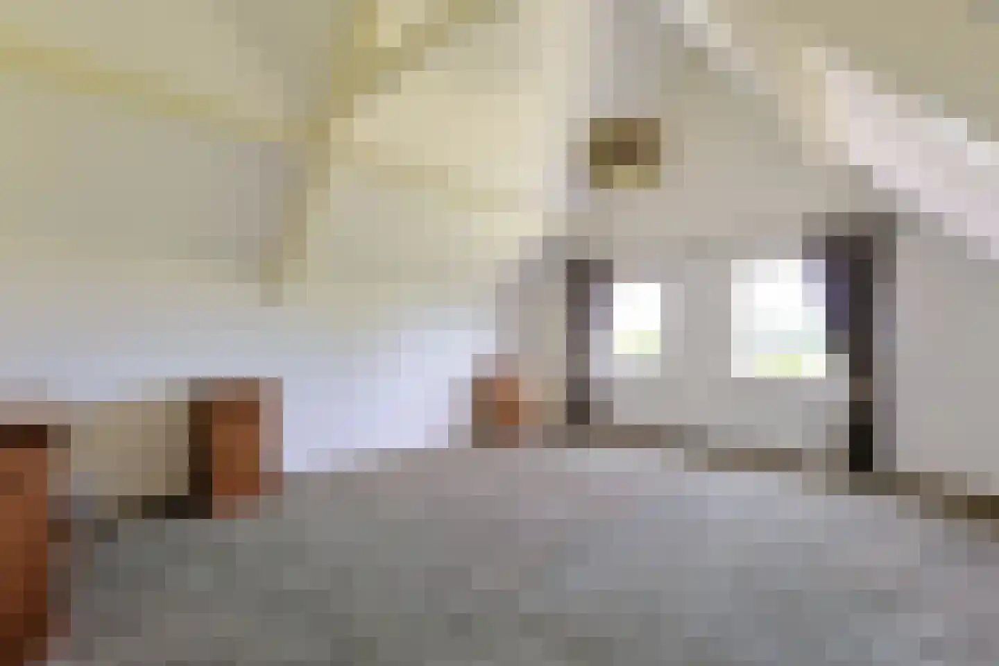 Simon van Capelweg 113 Noorden thumbnail 31