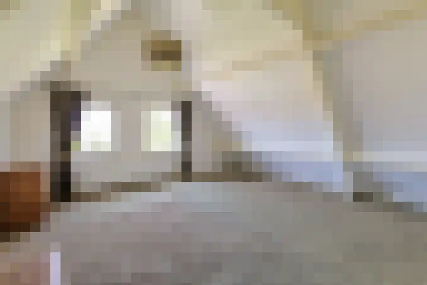 Simon van Capelweg 113 Noorden thumbnail 32