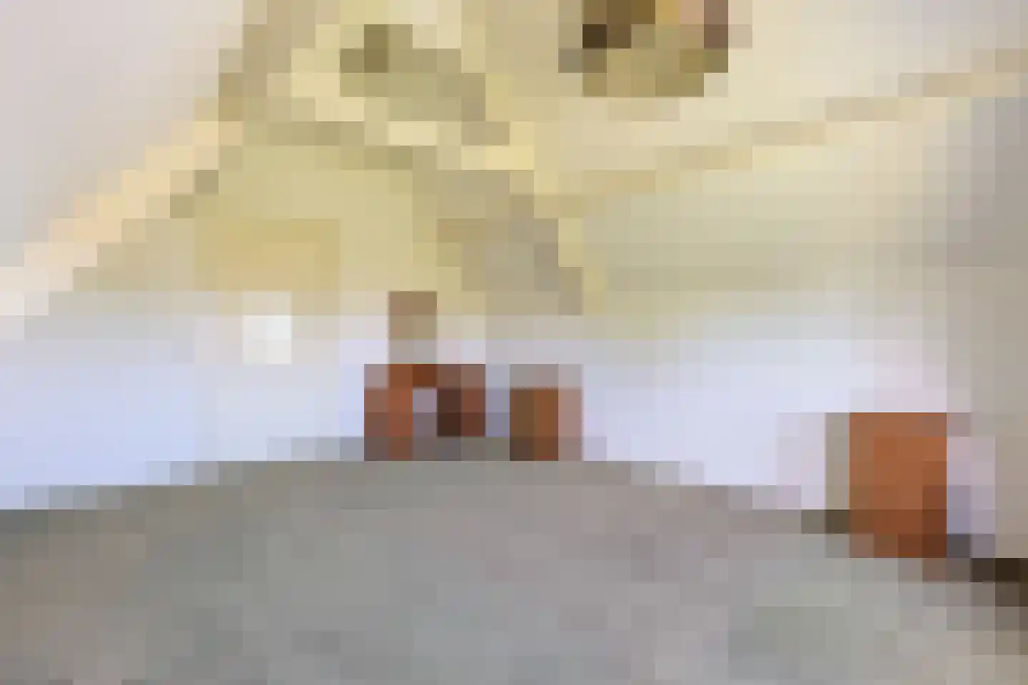 Simon van Capelweg 113 Noorden thumbnail 33