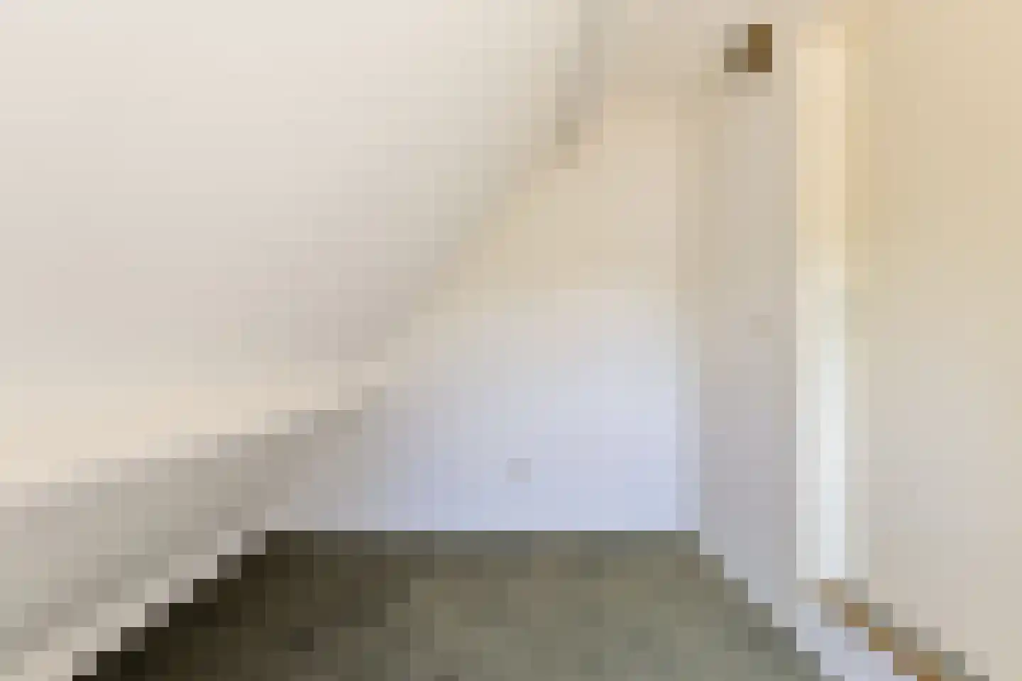 Simon van Capelweg 113 Noorden thumbnail 48
