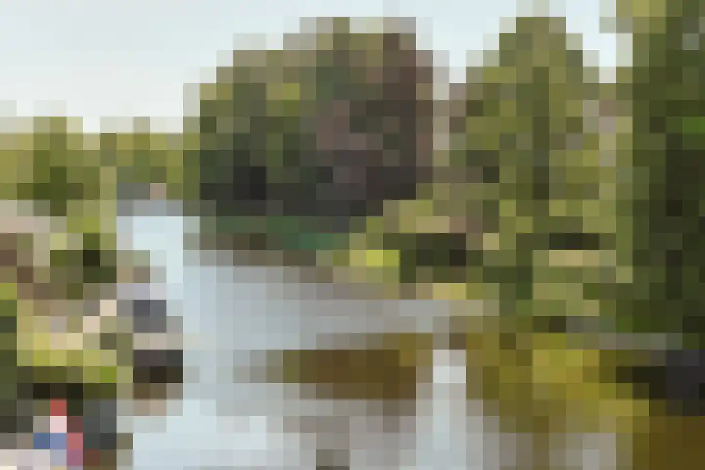 Simon van Capelweg 113 Noorden thumbnail 50