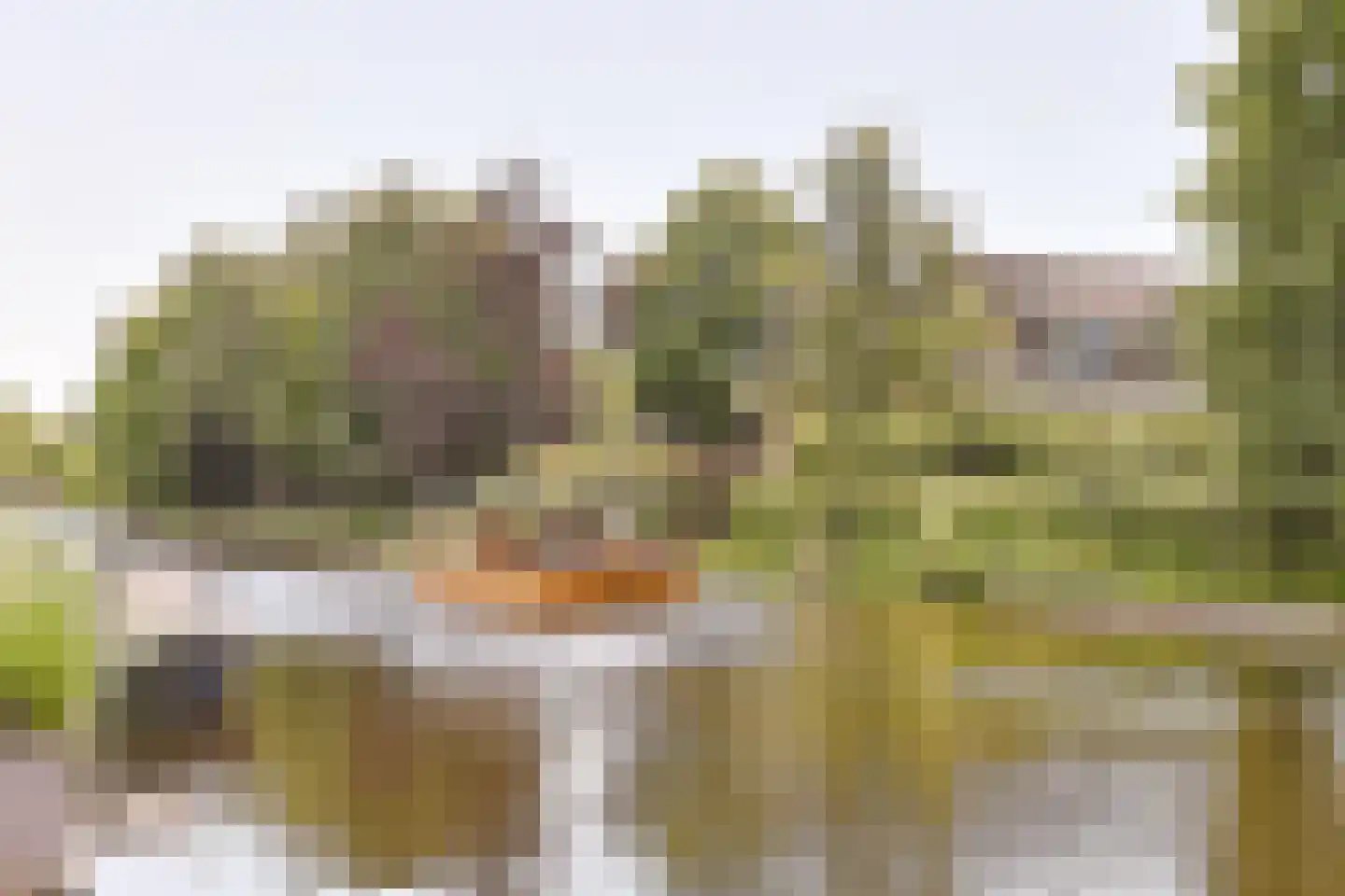 Simon van Capelweg 113 Noorden thumbnail 52