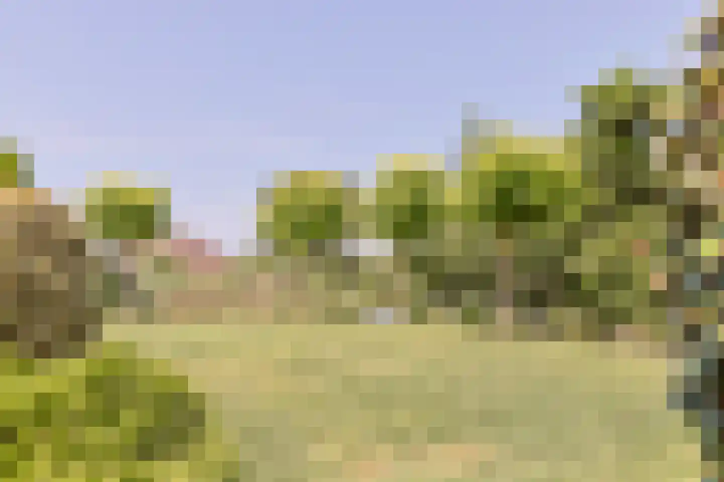 Simon van Capelweg 113 Noorden thumbnail 66