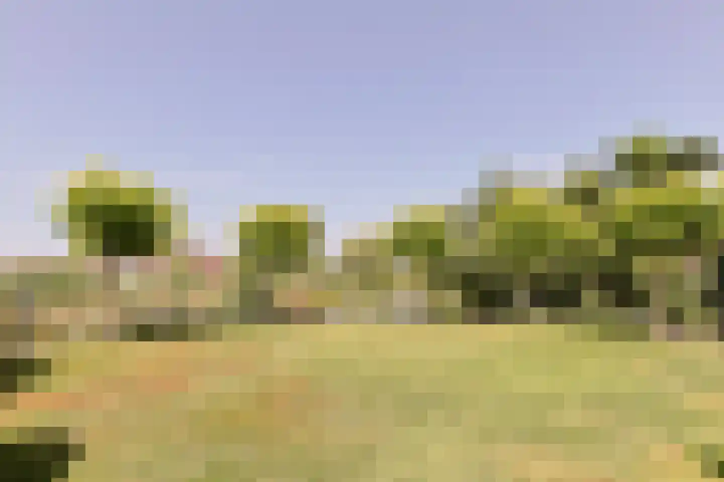 Simon van Capelweg 113 Noorden thumbnail 67