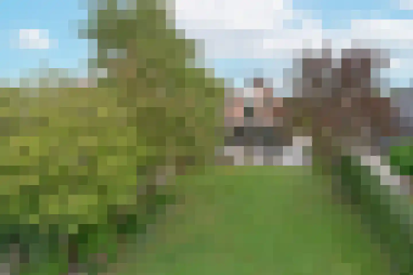 Simon van Capelweg 129 Noorden thumbnail 6
