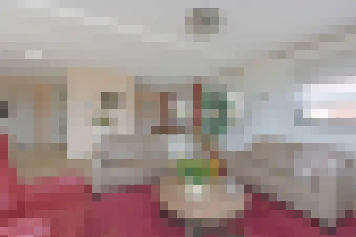 Simon van Capelweg 197 Noorden thumbnail 14
