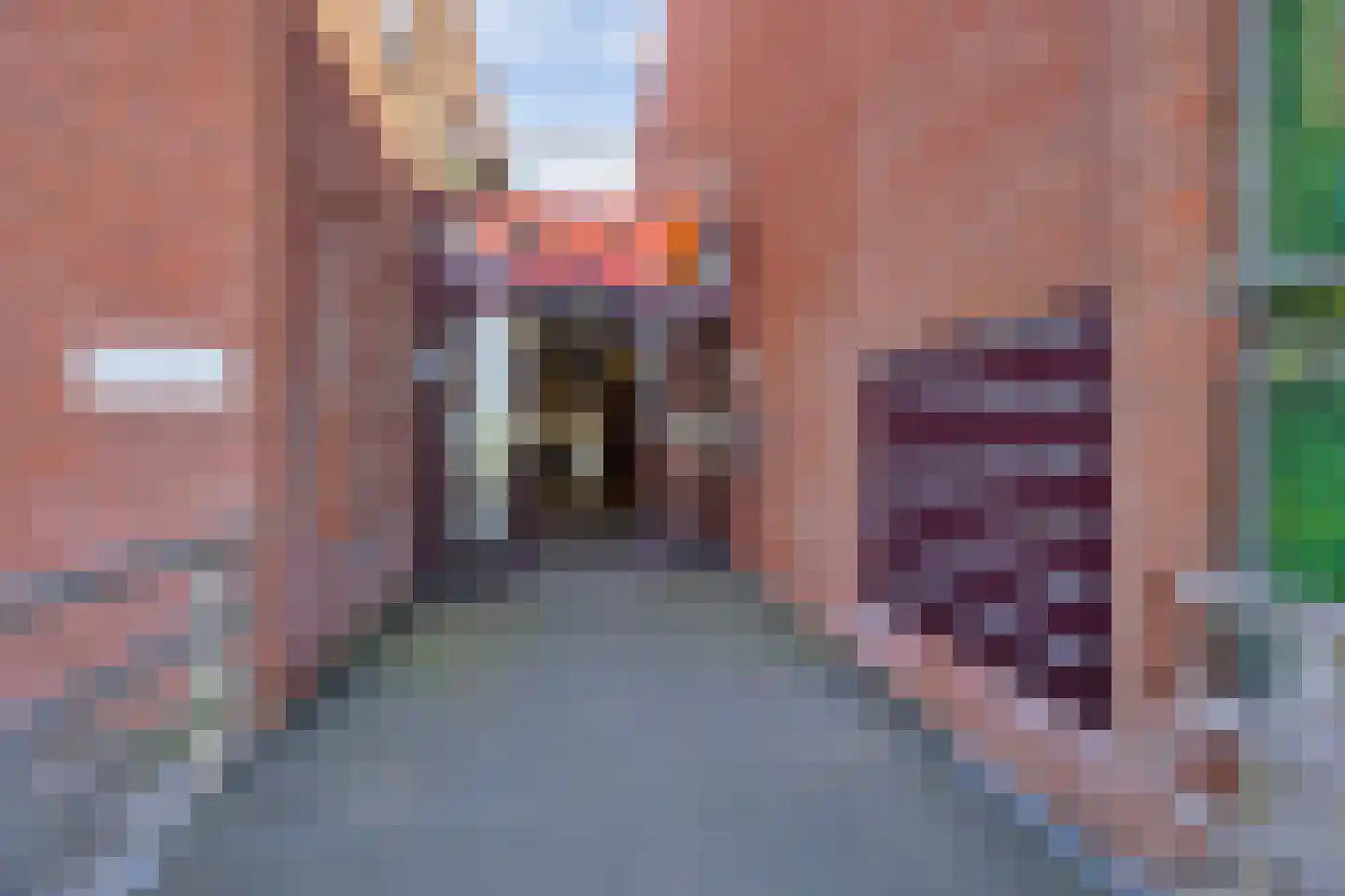Simon van Capelweg 205 Noorden thumbnail 26