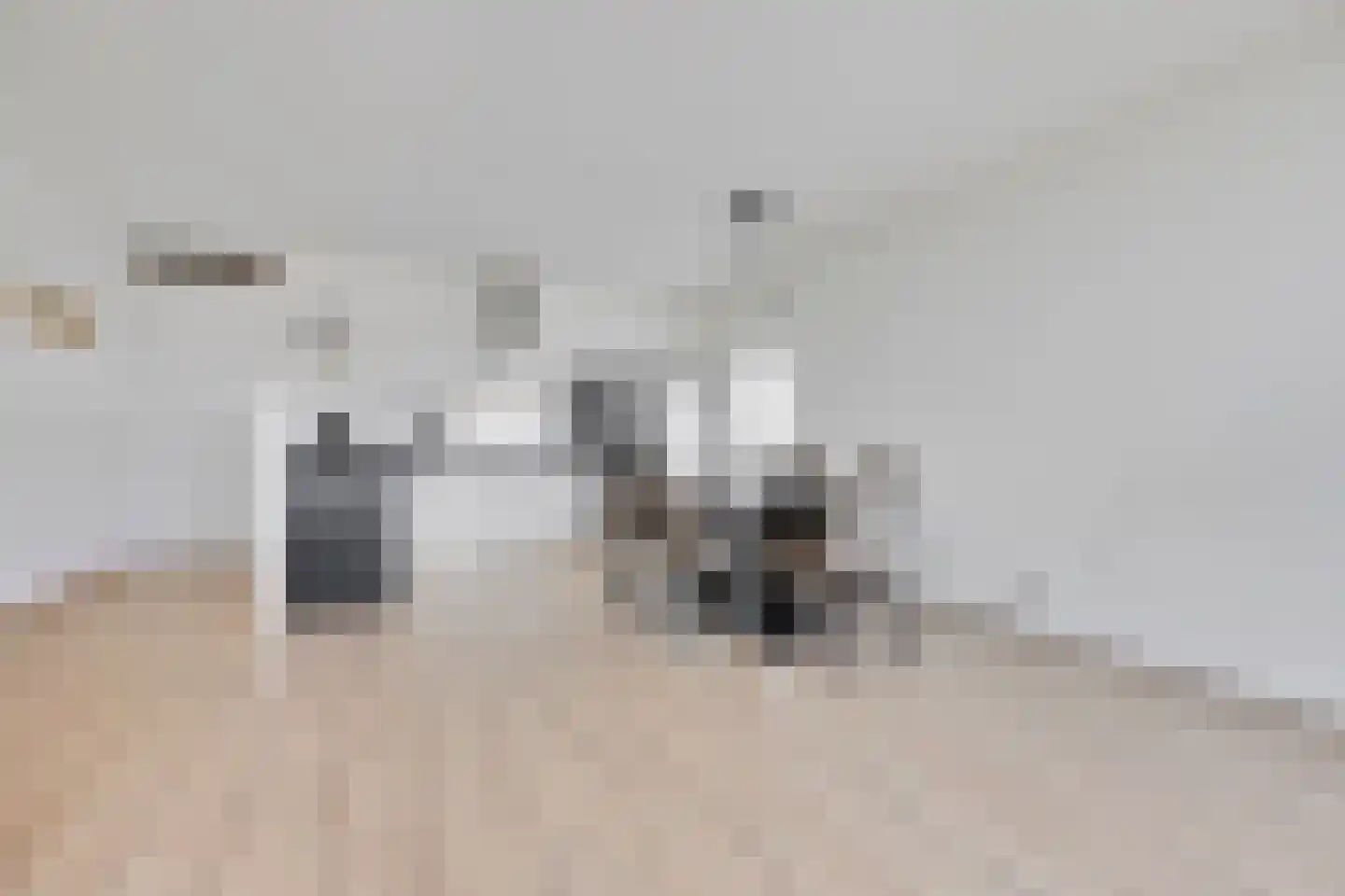 Simon van Capelweg 205 Noorden thumbnail 6