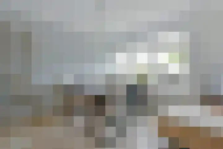 Simon van Capelweg 31 A Noorden thumbnail 17