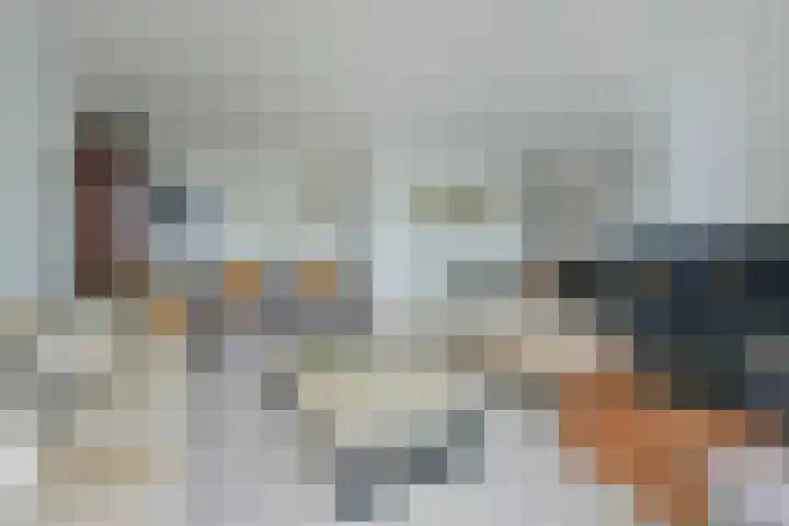 Simon van Capelweg 31 A Noorden thumbnail 19
