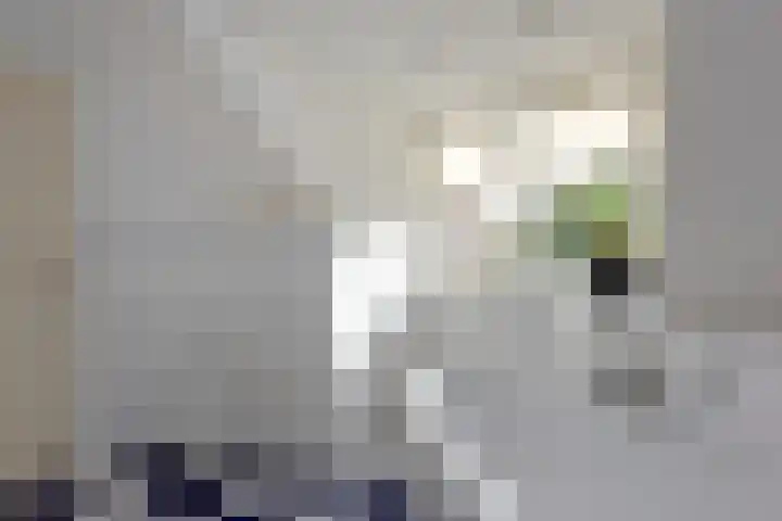 Simon van Capelweg 31 A Noorden thumbnail 23
