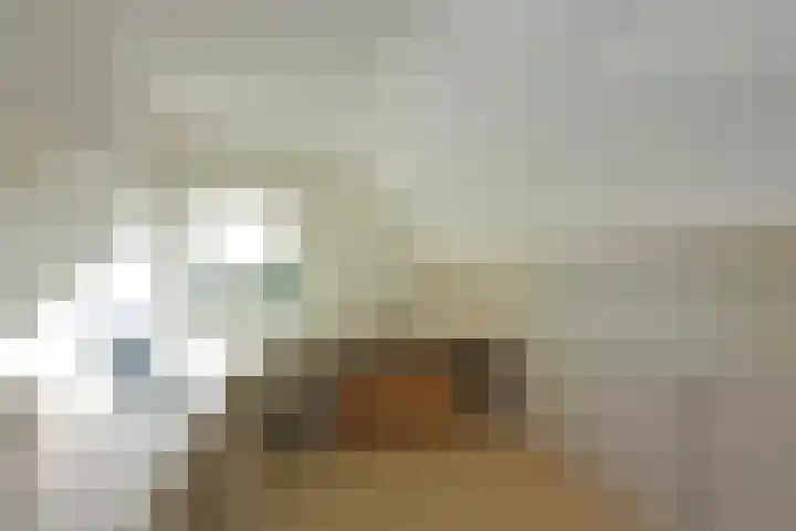 Simon van Capelweg 31 A Noorden thumbnail 30