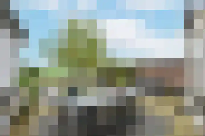 Simon van Capelweg 31 A Noorden thumbnail 34