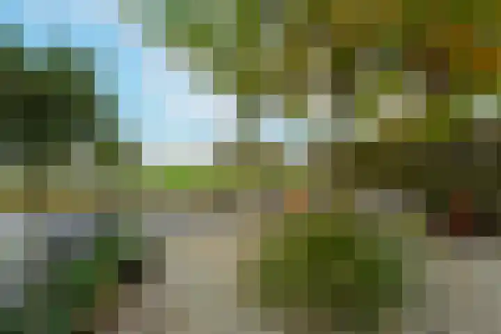 Simon van Capelweg 31 A Noorden thumbnail 36