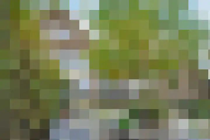 Simon van Capelweg 31 A Noorden thumbnail 37