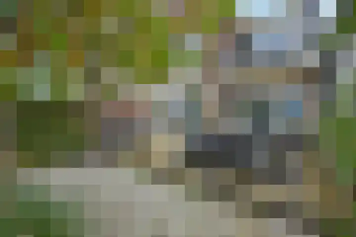 Simon van Capelweg 31 A Noorden thumbnail 38