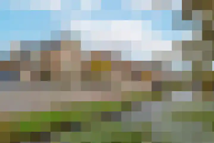 Simon van Capelweg 31 A Noorden thumbnail 39