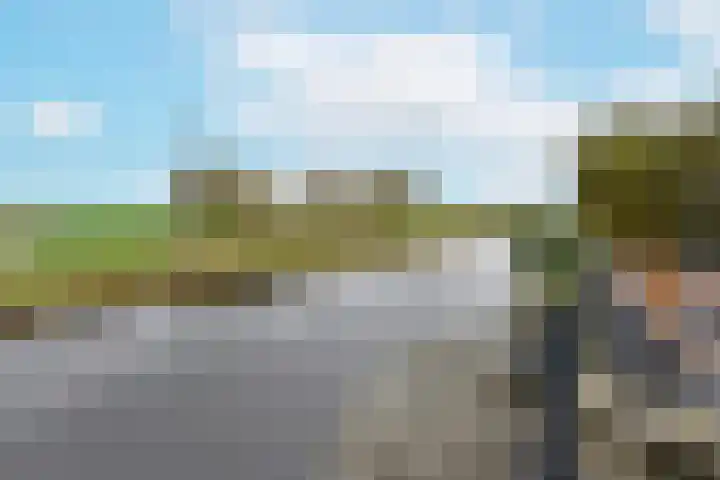 Simon van Capelweg 31 A Noorden thumbnail 6