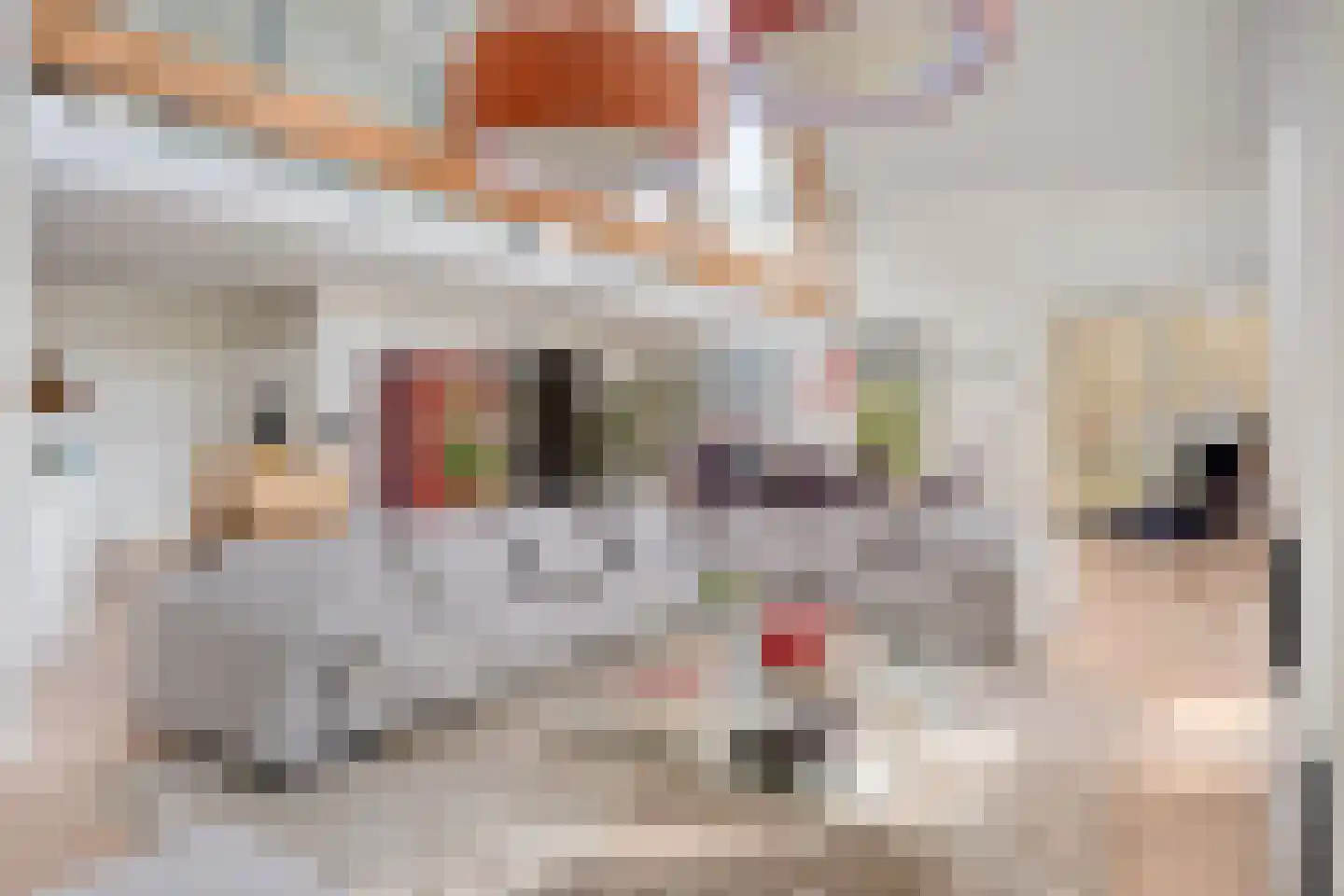 Simon van Capelweg 36 Noorden thumbnail 18