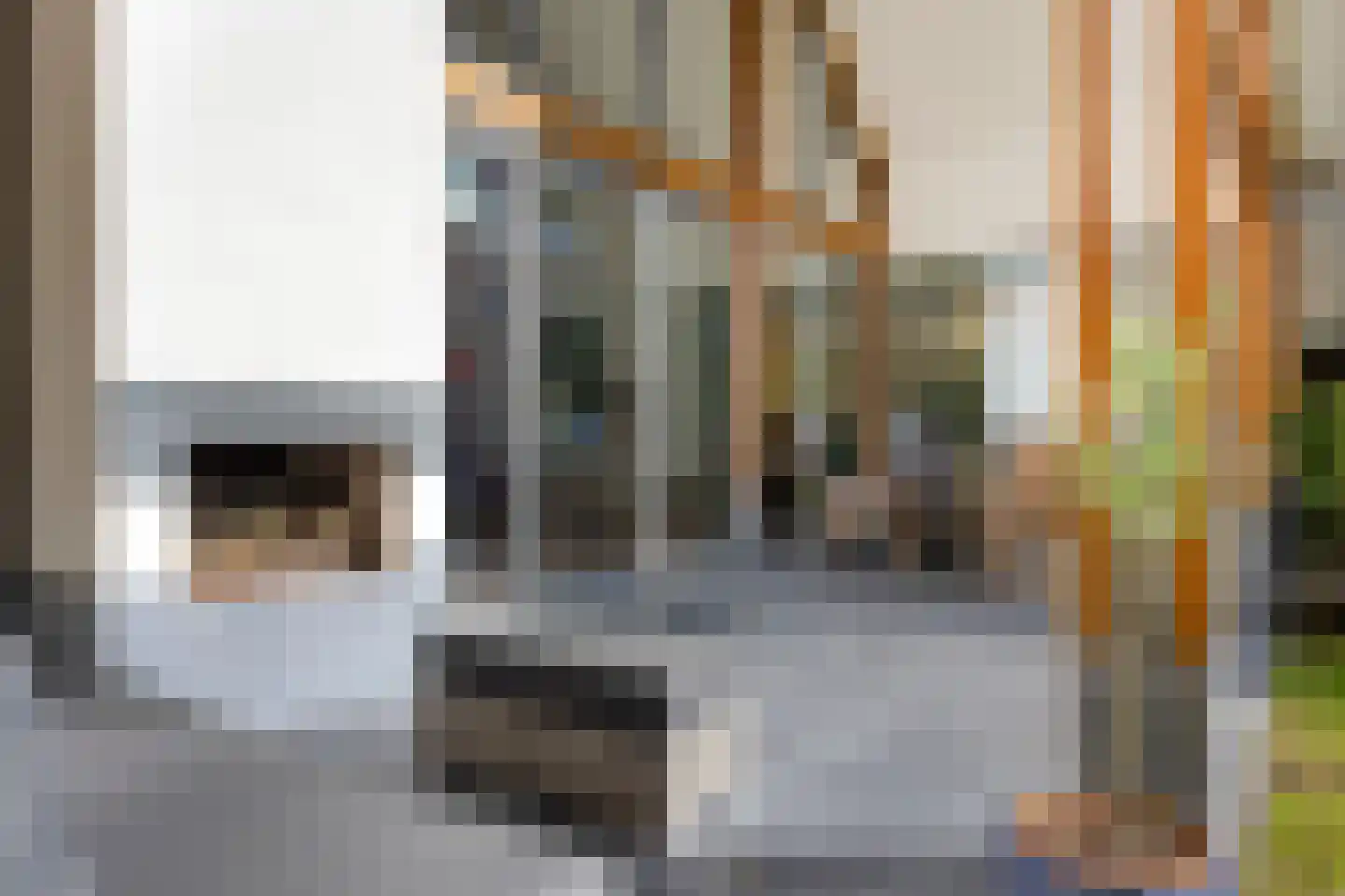 Simon van Capelweg 36 Noorden thumbnail 20